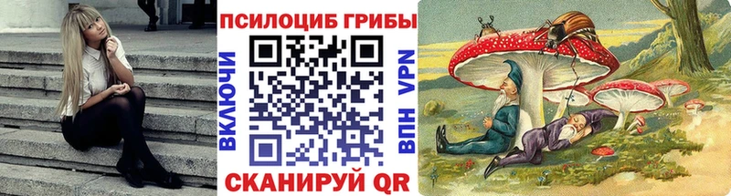 что такое Родники Галлюциногенные грибы MAGIC MUSHROOMS